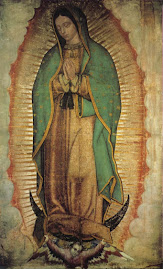 Our Lady of Guadalupe