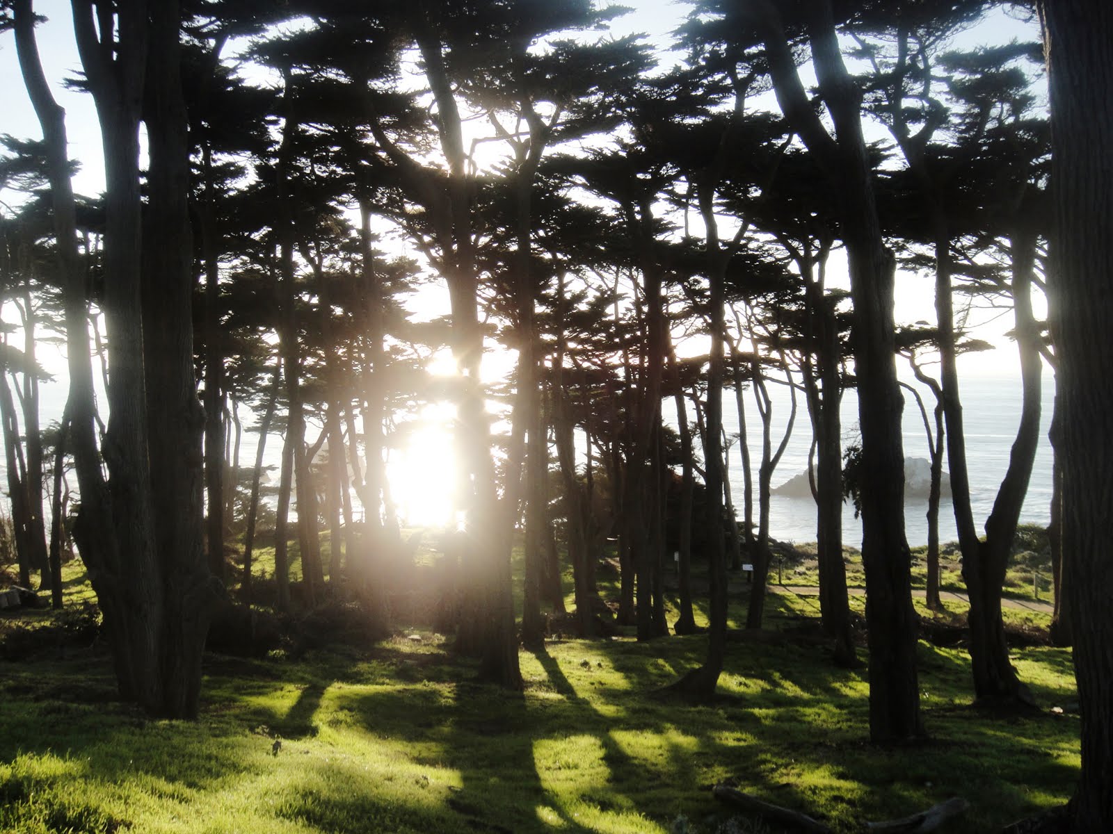 Sutro Park