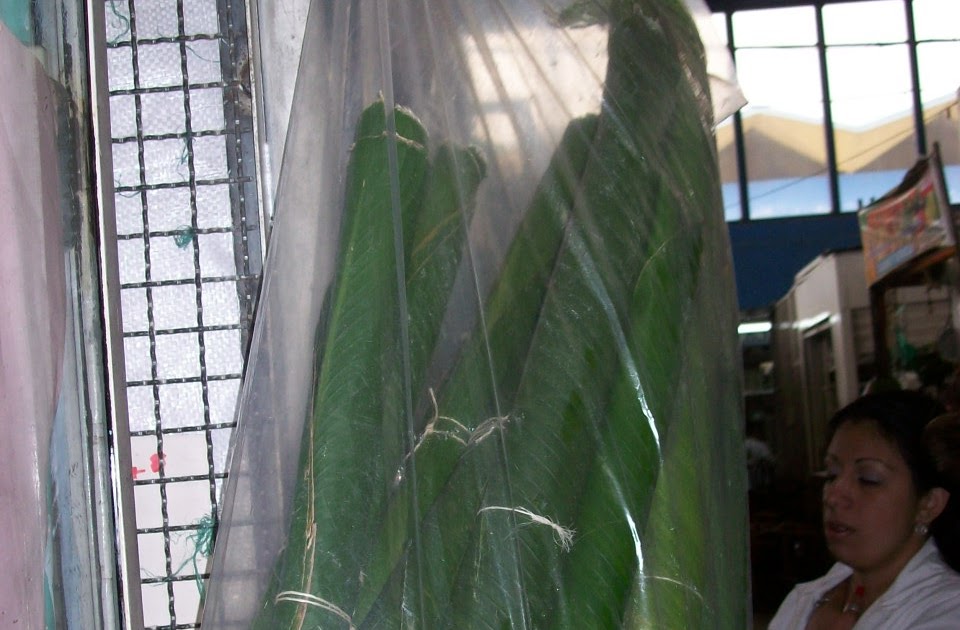 Envases naturales HOJA DE BIJAO