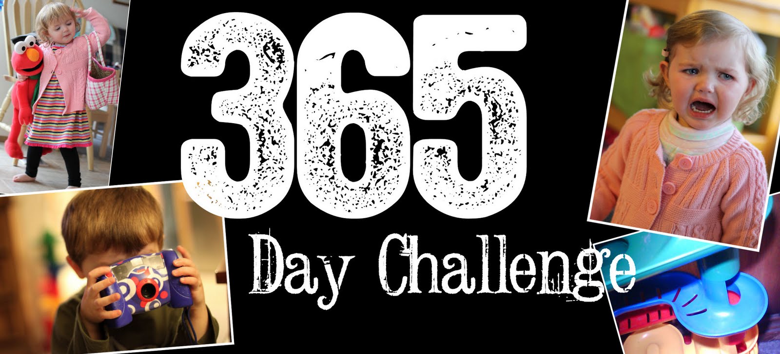 The 365 Day Project