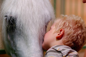 лошадь и ребенок