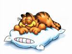 [garf.jpg]