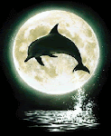 golfinho_luar