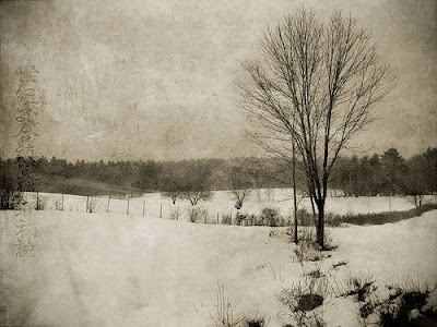 Heaven Can Wait - Winter Landscape