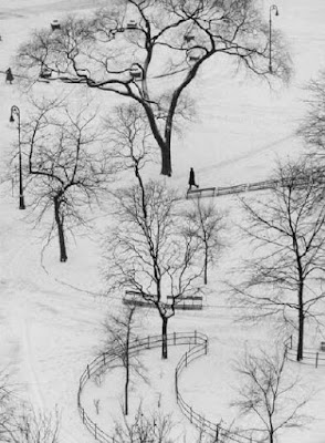 Washington Square by André Kertész, Winter 1954