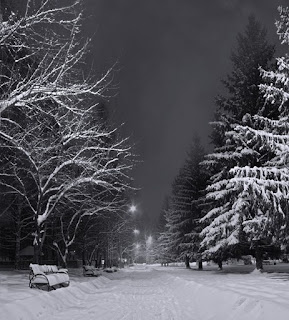 Heaven Can Wait - Winter Sleep