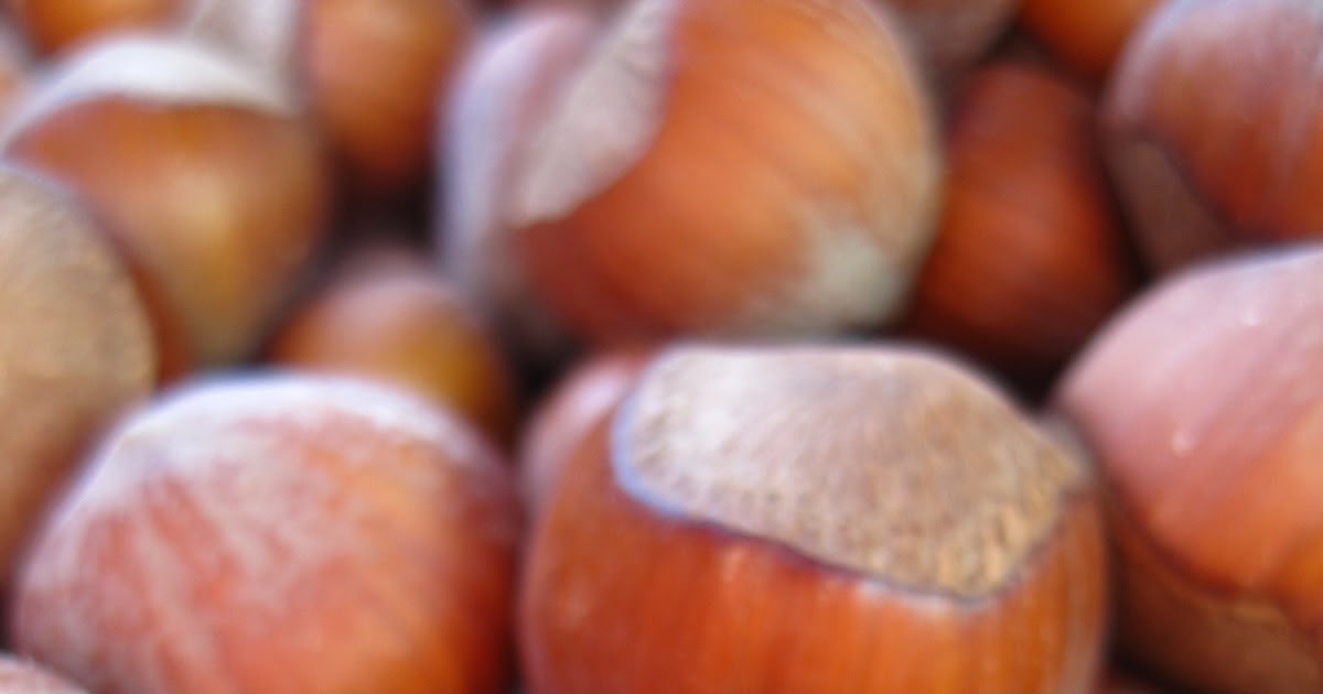 Culinary Adventures with Camilla A Hazelnut by Any Other Name Will