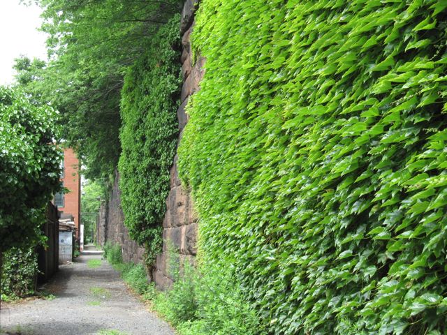 [Alley.jpg]