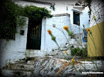 Parga Alleys Photos