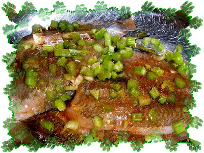 Passera Pesce Wikipedia