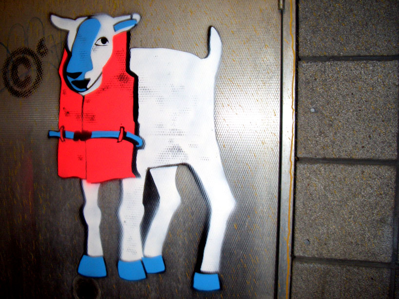 [sheep.jpg]