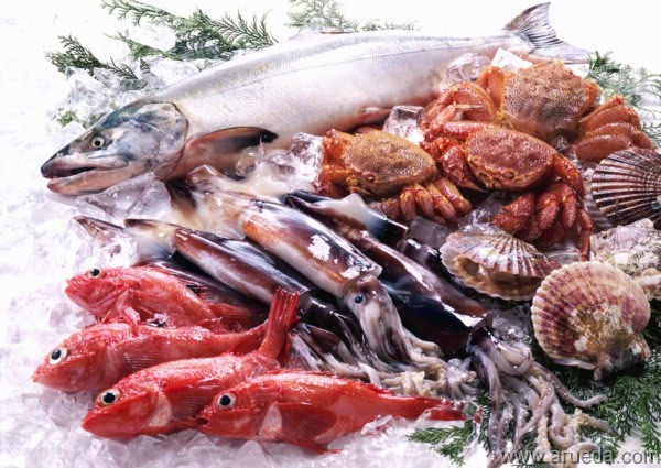 FOTOS PECES COMESTIBLES fotos peces comestibles: