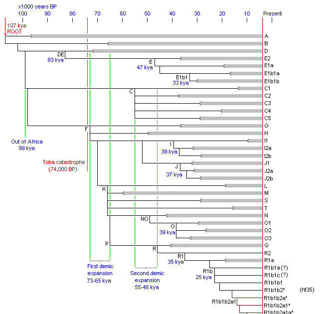 Leherensuge: Timeline of human Y-DNA (2)