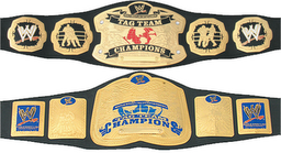 wwe unified tag teams championships