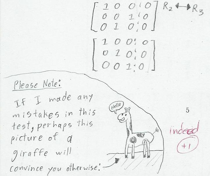 Math Exam Funny