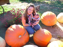 Pumpkin  Patch