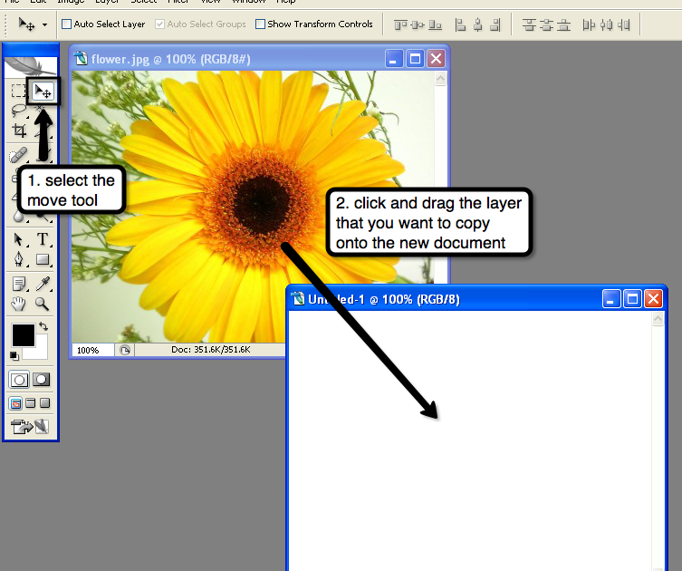 Copying a Layer onto a New Document
