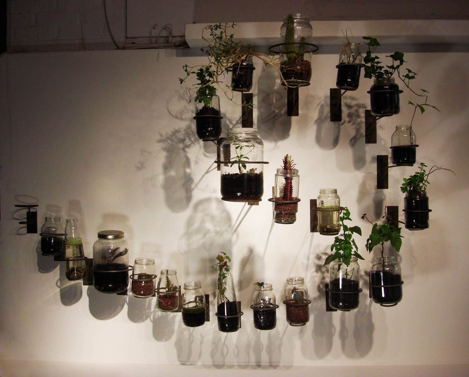 jar2.jpg width=510