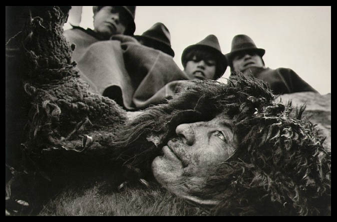 [salgado_sheepskin.jpg]