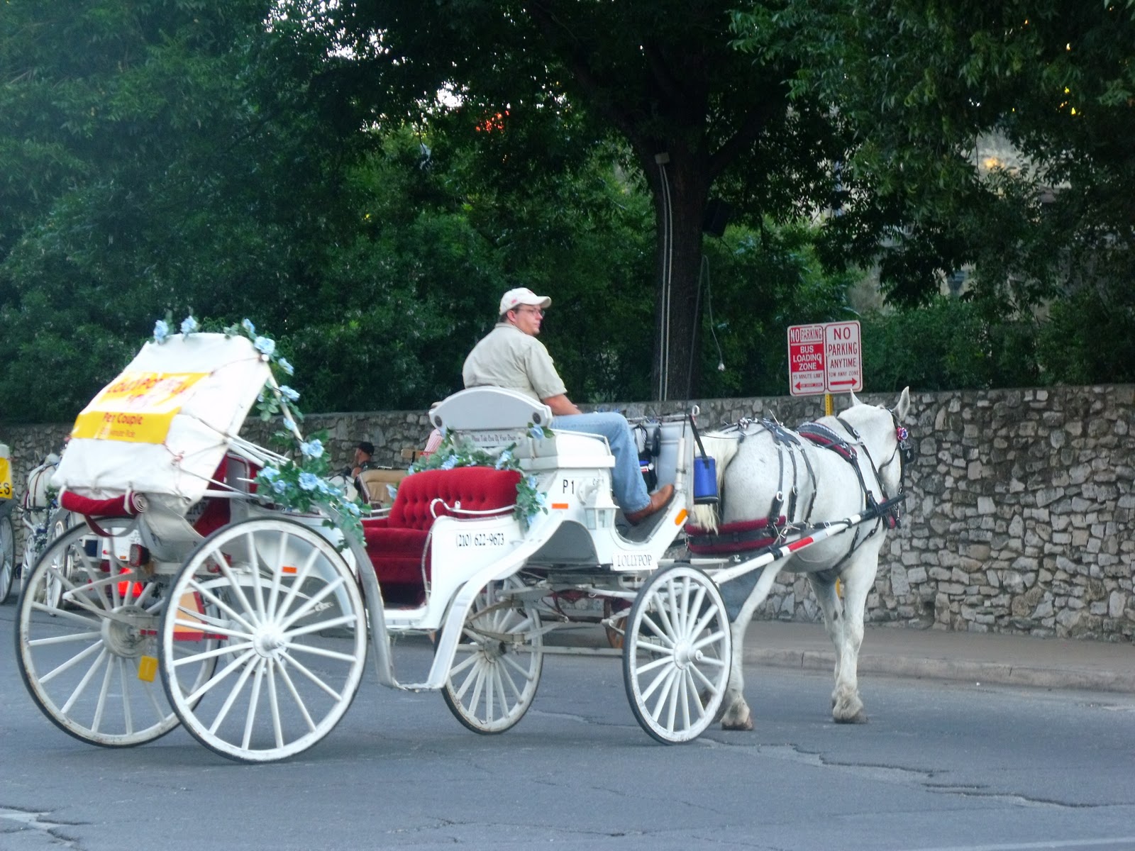 Carriage Rides The Dias Family Adventures