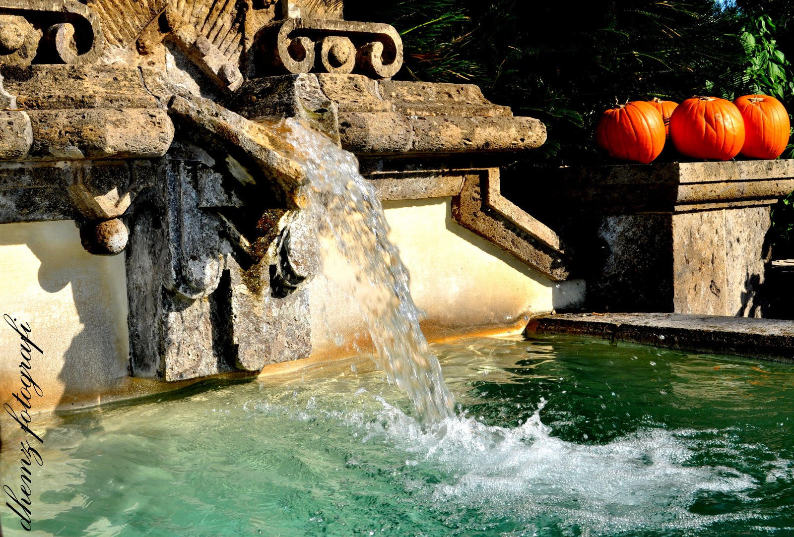 San Antonio Botanical Garden Fountain Plaza The Dias Family Adventures