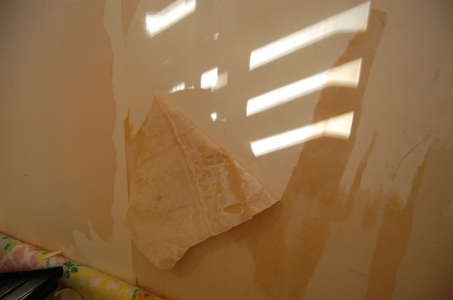 The Nitty-Gritty: (You can skip this part if wallpaper removal isn't in your 