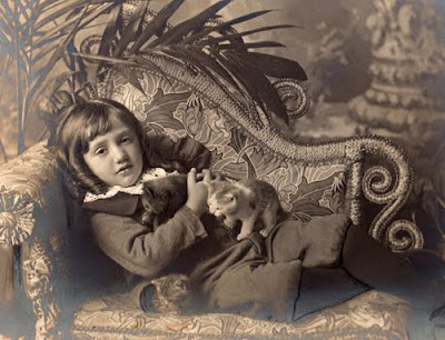 Victorian Edwardian Fashion on Eastlake Victorian Victorian Edwardian Cat Photography