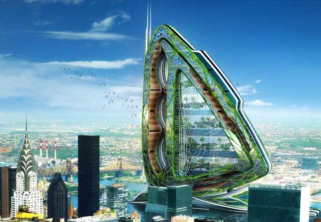 [Projeto-Dragonfly-12.jpg]