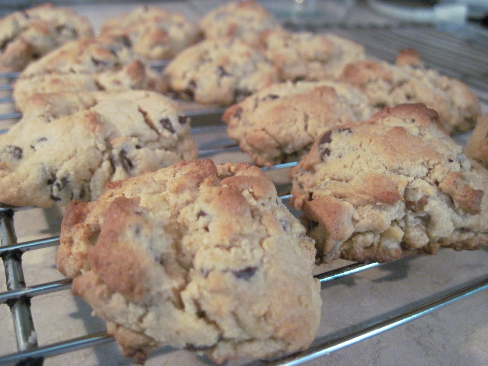 Mum in Bloom Recipe Chocolate Chip Cookies with Whole Wheat & Soy Flour