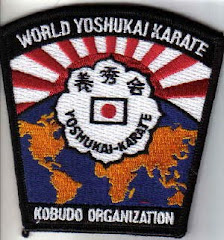 WYKKO Organization Patch