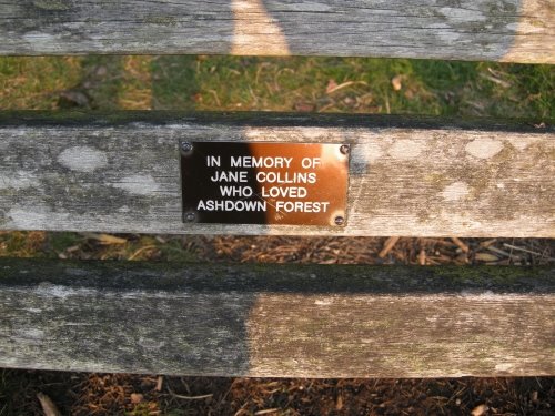[bench1.jpg]