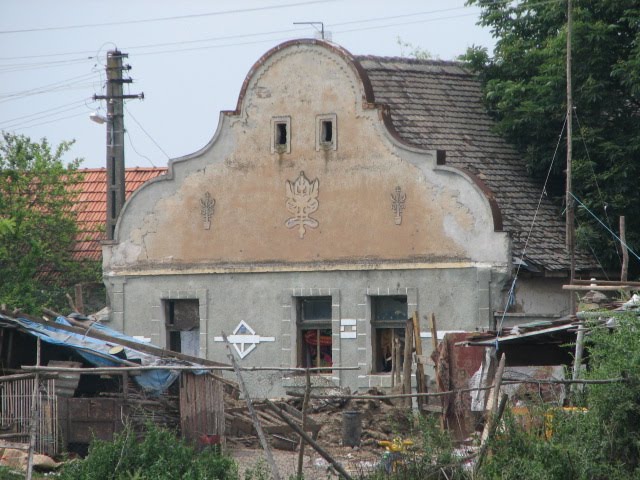 [IMG_1226.jpg]