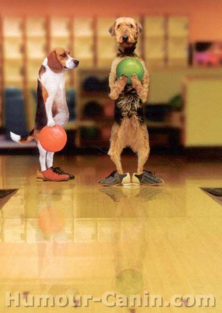 bowling är roligt för alla.