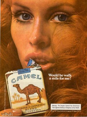 [camel.JPG]