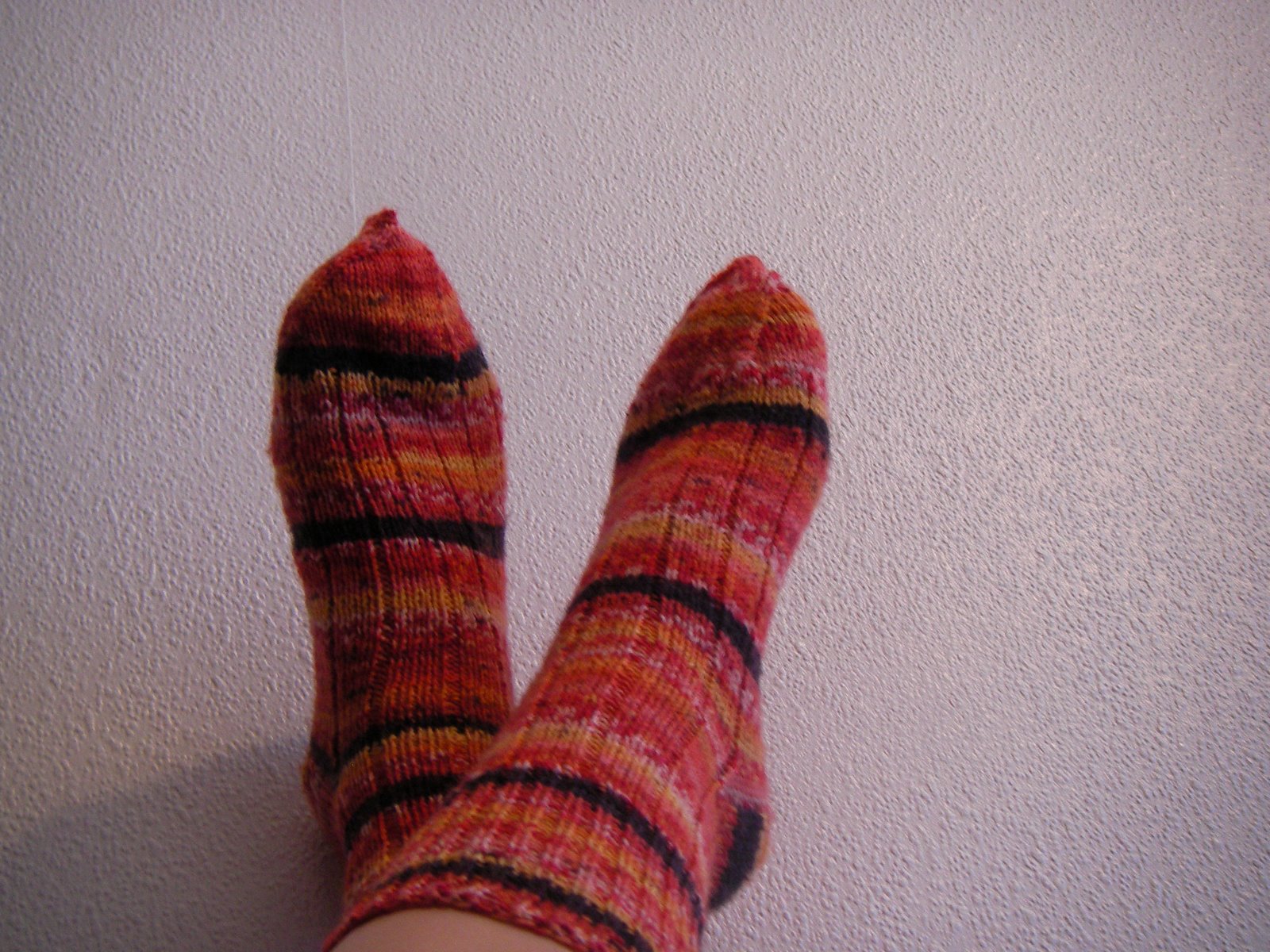 [calcetines.JPG]