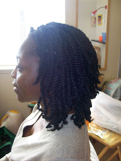 Braiding Me Softly Style Profile Nubi Nubi Twists