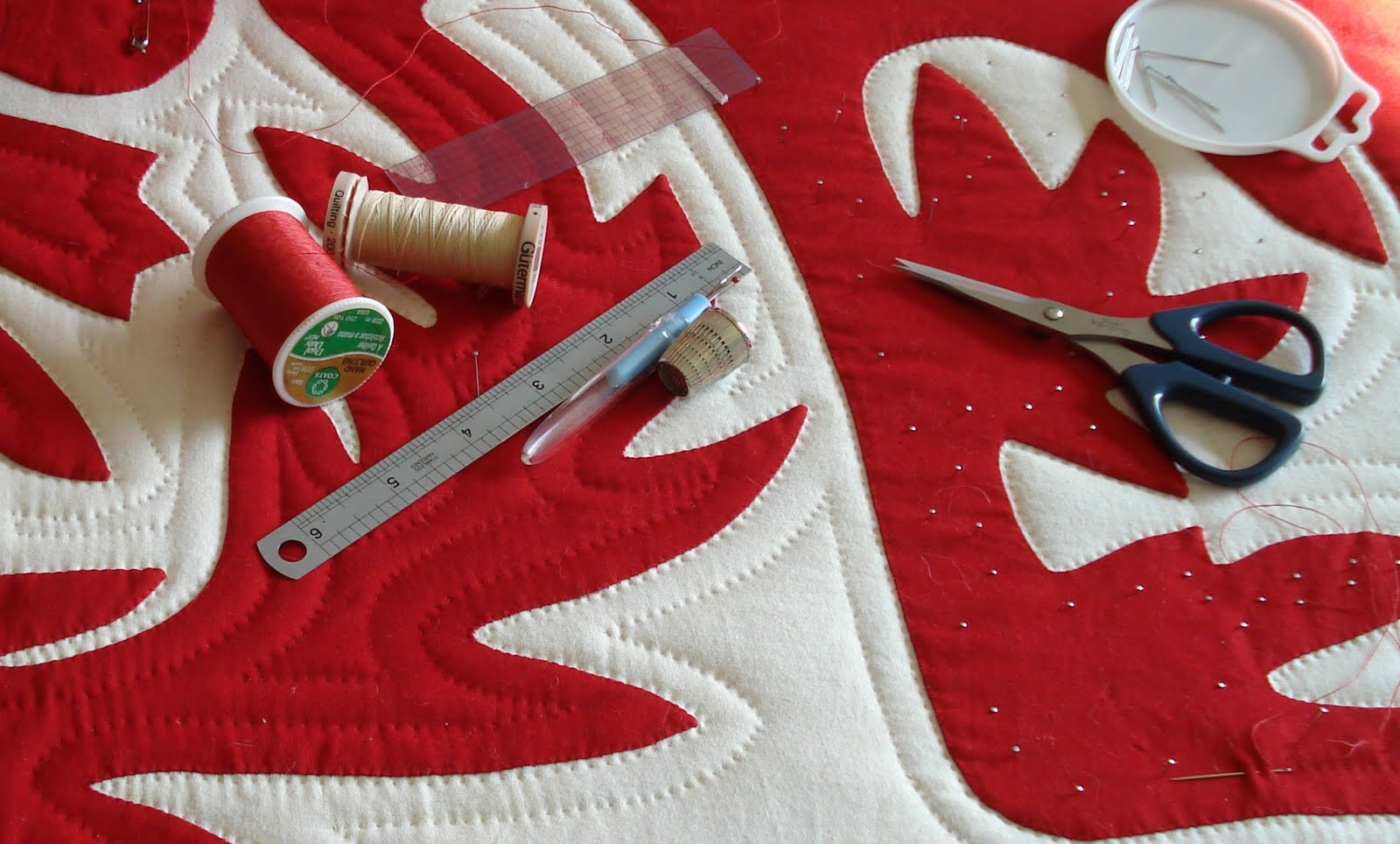 Welsh Quilts Echo quilting