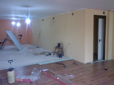 Reparaciones ANTI-CRISIS: Acondicionar un sotano.