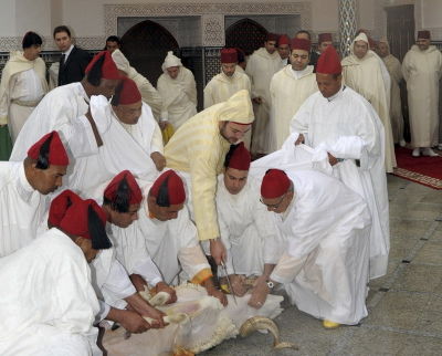 external image cutting.jpg