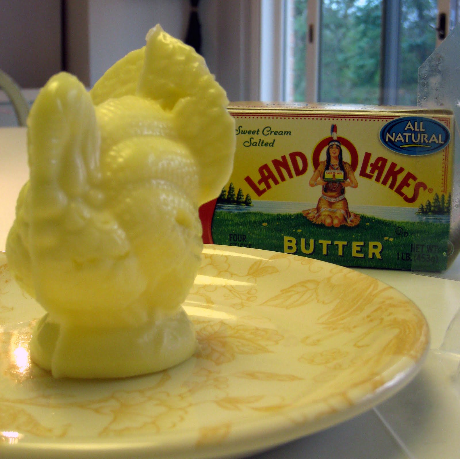 Moments of Delight...Anne Reeves November 2009