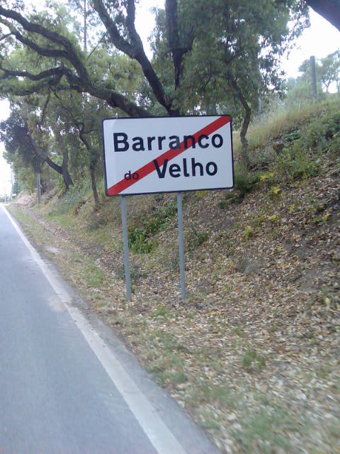 [Img022.jpg]
