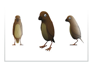 Bird Model Sheet