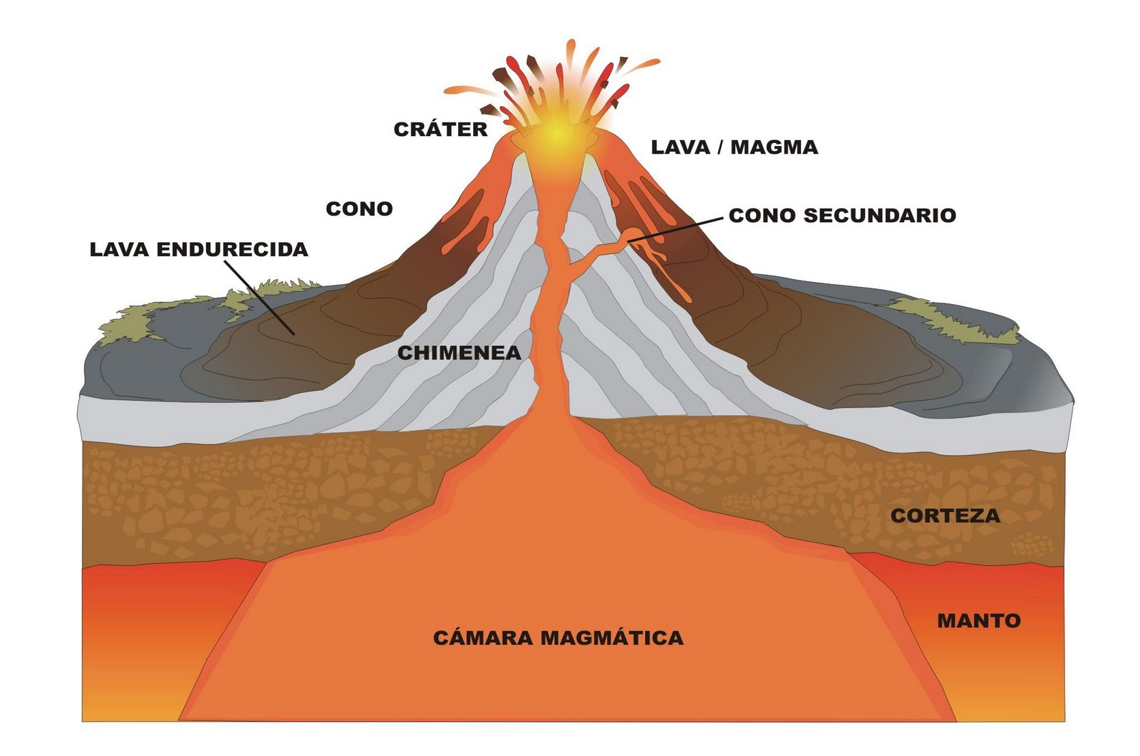 Que hacer en caso de un desastre natural? Que hacer en caso de un desastre natural?
