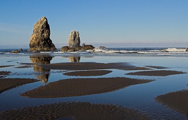 cannon beach log low tide cannon beach log low tide