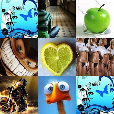 wallpaper mobile phone. wallpapers for mobile phones. wallpaper mobile phone.