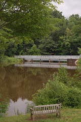 Pond at Mt. Holyoke College