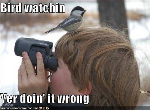 [bird+watcher.jpeg]