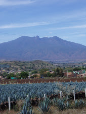 VOLCAN TEQUILA