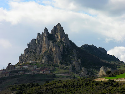 Cellorigo