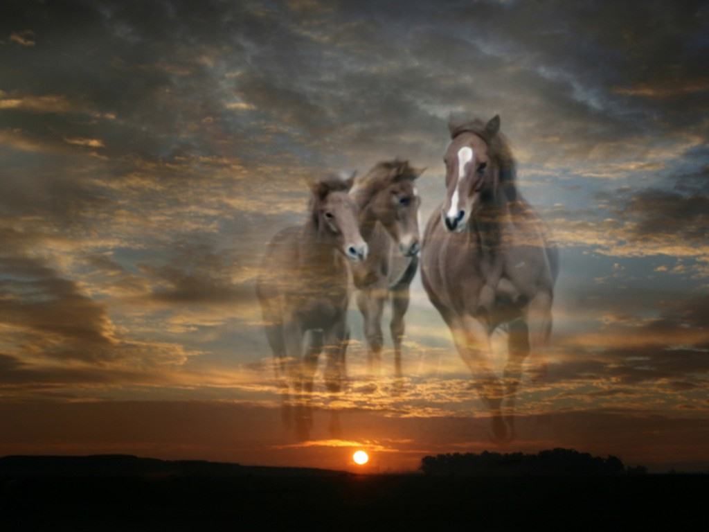 http://4.bp.blogspot.com/_xGMqNx8Dyi8/S8okeMurWwI/AAAAAAAADSU/SAc3ht2zh18/s1600/GALLOPING+HORSES.jpg